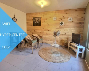 APPARTEMENT CHALEUREUX HYPER CENTRE TOUT CONFORT
